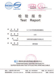 检测报告
